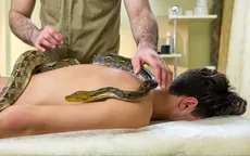 Massage lửa, thả rắn trên lưng,... 6 spa kỳ dị nhất thế giới ít ai dám thử