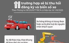 [Infographic] 11 trường hợp sẽ bị thu hồi đăng ký và biển số xe từ 1/8/2020
