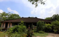Độc đáo nhà cổ 100 cột