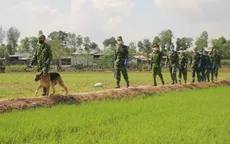 Biên phòng An Giang bắt giữ gần 400 người nhập cảnh trái phép