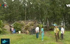 Bến Tre: Nhiều hộ dân xâm chiếm trái phép rừng đặc dụng