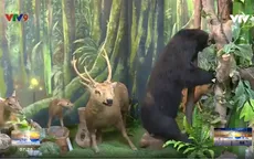 Khám phá Bảo tàng Động thực vật đầu tiên tại TP.HCM