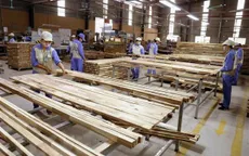 Đột ngột bị áp thuế 25%, gỗ ghép thanh ùn tắc tại nhiều cảng biển