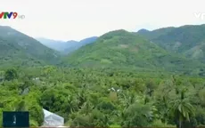 Ninh Thuận: Xây dựng xã nông thôn mới từ những mô hình thiết thực