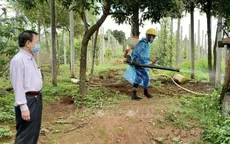 Triển khai khẩn cấp các biện pháp phòng, chống dịch bạch hầu