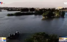 Khám phá rừng ngập mặn đầm Nại