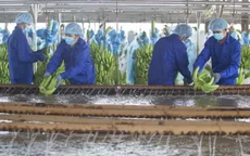 Số hóa nông nghiệp và bài học thực tiễn trên thế giới