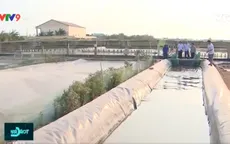 Bạc Liêu: Đưa nghị quyết vào thực tiễn sản xuất của dân