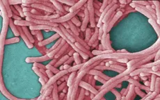 Phát hiện vi khuẩn legionella trong đường ống nước của văn phòng CDC Mỹ