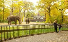 Kinh doanh khó khăn, nhiều sở thú chật vật duy trì hoạt động
