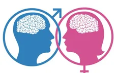 Não bộ của nam giới và nữ giới có khác nhau không?