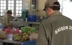 Sẻ chia khó khăn cùng Thảo Cầm Viên trong mùa dịch