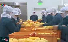 Nông sản cạnh tranh xuất khẩu giữa mùa đại dịch Covid-19