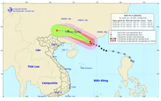 Bão số 4 hướng vào đất liền Trung Quốc, giật cấp 13