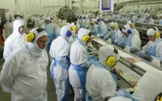 Hơn 100.000 công nhân ở các nhà máy thịt Brazil mắc COVID-19