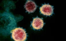 Nguồn gốc virus gây ra đợt bùng phát dịch lần 2 của châu Âu là từ đâu?