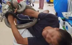 Bị rắn hổ mang chúa cắn, nạn nhân mang luôn rắn nhập viện cấp cứu
