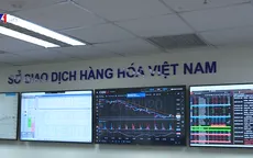 Sở Giao dịch Hàng hóa - Mô hình mới “hút” nhà đầu tư