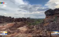 Khám phá bãi san hô cổ hàng triệu năm tuổi
