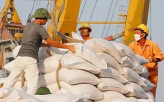 Giá gạo xuất khẩu của Việt Nam tăng thêm 5 USD/tấn