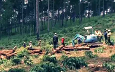 Hàng ngàn ha rừng thông "bốc hơi" khi vào tay đơn vị… bảo vệ rừng, trồng rừng