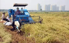 75 năm nông nghiệp và bài học phát huy vai trò chủ thể của nông dân