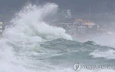 Hàn Quốc hứng chịu cơn bão mạnh nhất trong năm