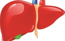 Bí quyết để có một lá gan khỏe mạnh