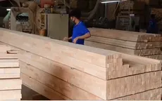 Đồng Nai: Doanh nghiệp gỗ đã xuất lô hàng đầu tiên với thuế suất 0%