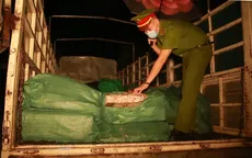 Phát hiện gần 3 tấn chân gà đông lạnh không rõ nguồn gốc
