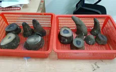 Tăng án phạt với "ông trùm" buôn lậu sừng tê giác từ 16 tháng lên 23 tháng tù