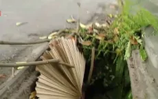 Hàng loạt nắp cống ở Hà Nội bị mất trộm, nguy cơ tai nạn rất cao