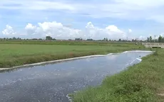 Sông "chết", đất ruộng bỏ hoang vì nước thải dệt nhuộm