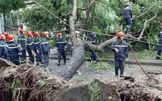 Hơn 15.000 cây đổ ngã, gây tắc nghẽn nghiêm trọng do bão số 5