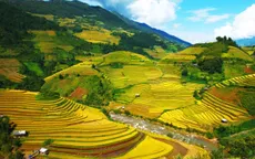 Mãn nhãn cảnh đẹp hùng vĩ của mùa vàng Mù Cang Chải