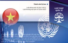 [INFOGRAPHIC] Việt Nam khẳng định vai trò chủ động, tích cực tại Liên Hợp Quốc