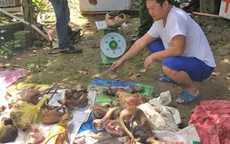 Phạt hơn 300 triệu đồng đối tượng nuôi nhốt, cấp đông nhiều động vật hoang dã