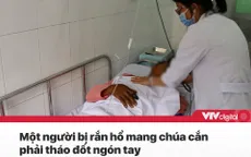 Tin nóng đầu ngày 29/9: Tháo đốt ngón tay vì bị rắn hổ mang chúa cắn