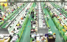 Thêm nhiều tín hiệu lạc quan, thị trường lao động dần “ấm” trở lại