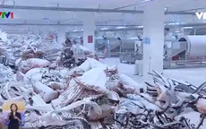 Nguy hại tình trạng nhiễm độc thiếc