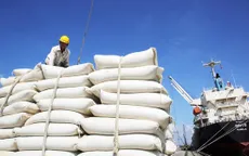Bộ Tài chính lý giải nguyên nhân cần xếp hạng nhà thầu cung cấp gạo dự trữ quốc gia