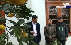 "Đảng viên đi trước, làng nước theo sau" trong xây dựng nông thôn mới