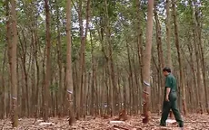 Những đóng góp tích cực của người “kinh tế mới” ở Bình Phước