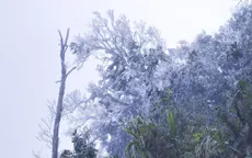Băng giá bao phủ nơi ngã ba biên giới cực tây Tổ Quốc