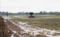 Kiểm tra phòng chống hạn mặn và sản xuất vụ Đông Xuân