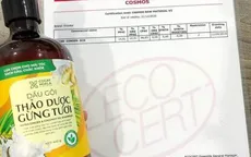 Sạch gàu với dầu gội thảo dược gừng dừa hữu cơ Cỏ cây hoa lá