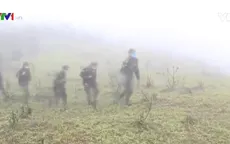 Bộ đội Biên phòng Quảng Trị ngăn chặn nhập cảnh trái phép