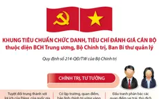 Khung tiêu chuẩn chức danh cán bộ thuộc diện BCH Trung ương, Bộ Chính trị, Ban Bí thư quản lý