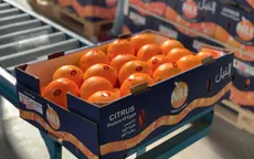 Ai Cập đặt mục tiêu thành nhà xuất khẩu cam lớn nhất thế giới