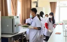 Phê duyệt chương trình hỗ trợ thanh niên khởi nghiệp giai đoạn 2022-2030